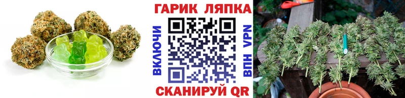 KRAKEN вход  Новошахтинск  Cannafood конопля 