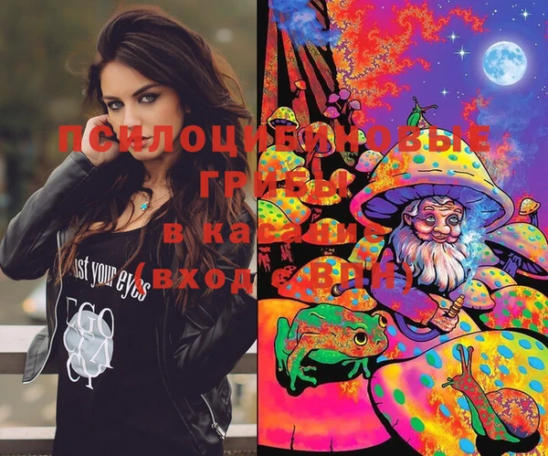 mix Кодинск